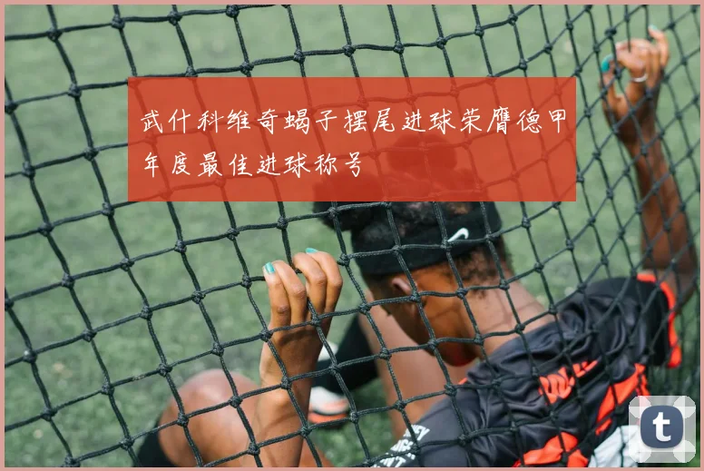 武什科维奇蝎子摆尾进球荣膺德甲年度最佳进球称号